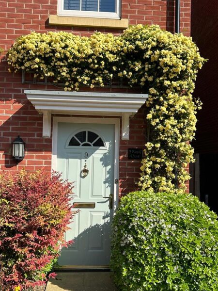 Regal Close, Corby