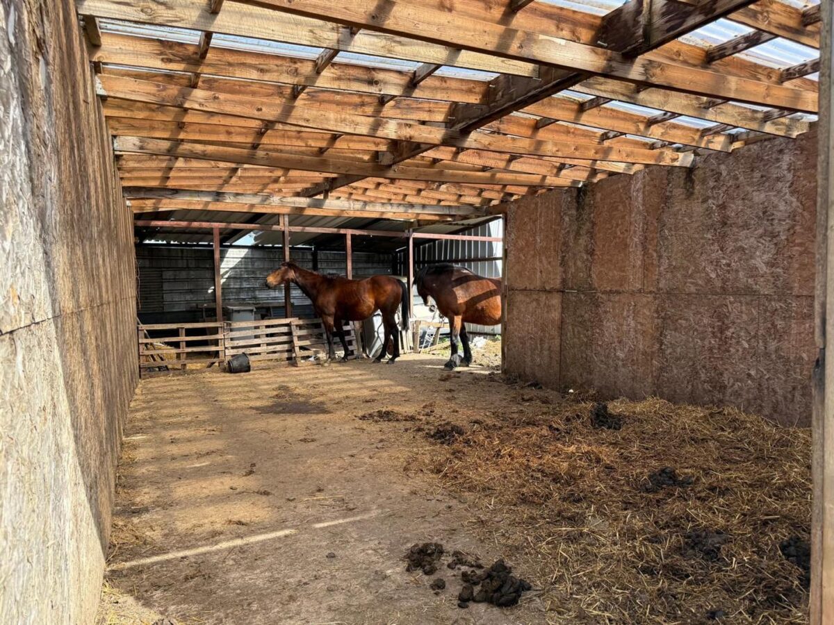 Ashley Road, Midleton