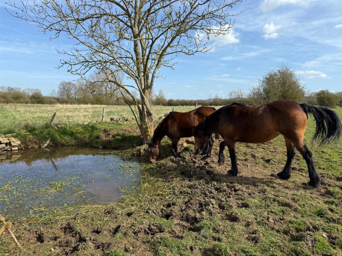 Ashley Road, Midleton
