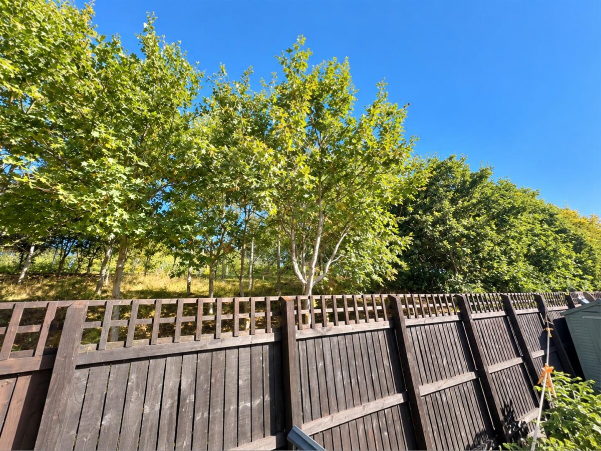Kesteven Way, Corby