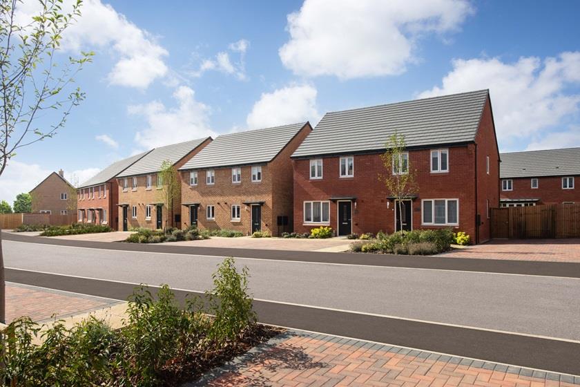 Tansy road, Priors Hall Park